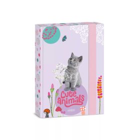 Füzetbox A/5 Ars Una Cuki Állatok - Brit cica