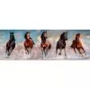 Clementoni  High Quality Collection Panoráma Puzzle Lovak
